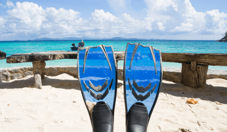 Discover the Best Scuba Diving Fins of the Year