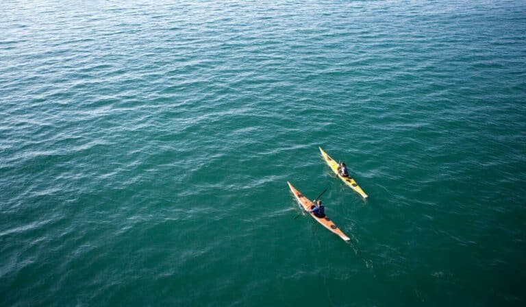 Discover the Thrill of Sea Kayaking: Essential Tips and Gear