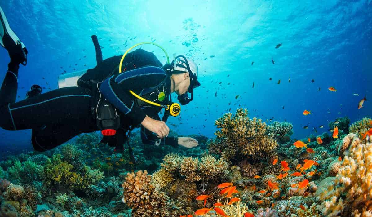 Diving in the Lone Star State The Best Places to Scuba Dive in Texas