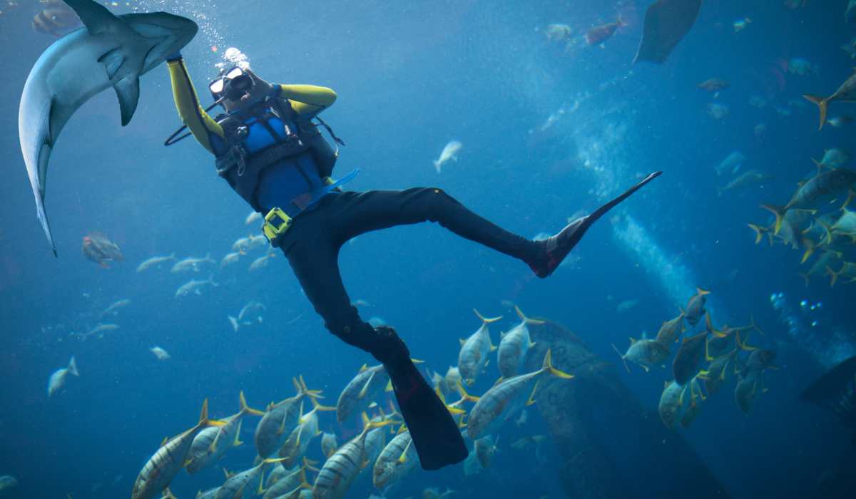 How to Scuba Dive with Sharks A Beginner's Guide