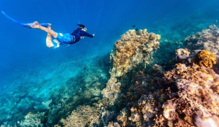 Scuba diving in Australia: Top Spots, Tips & Marine Life