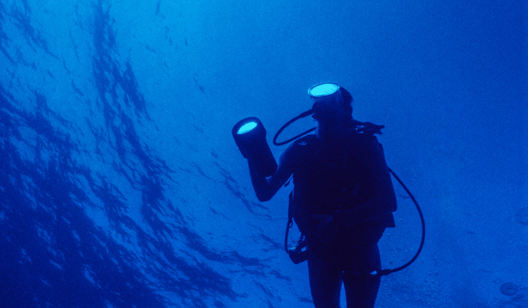 Top Rated Scuba Diving Cameras