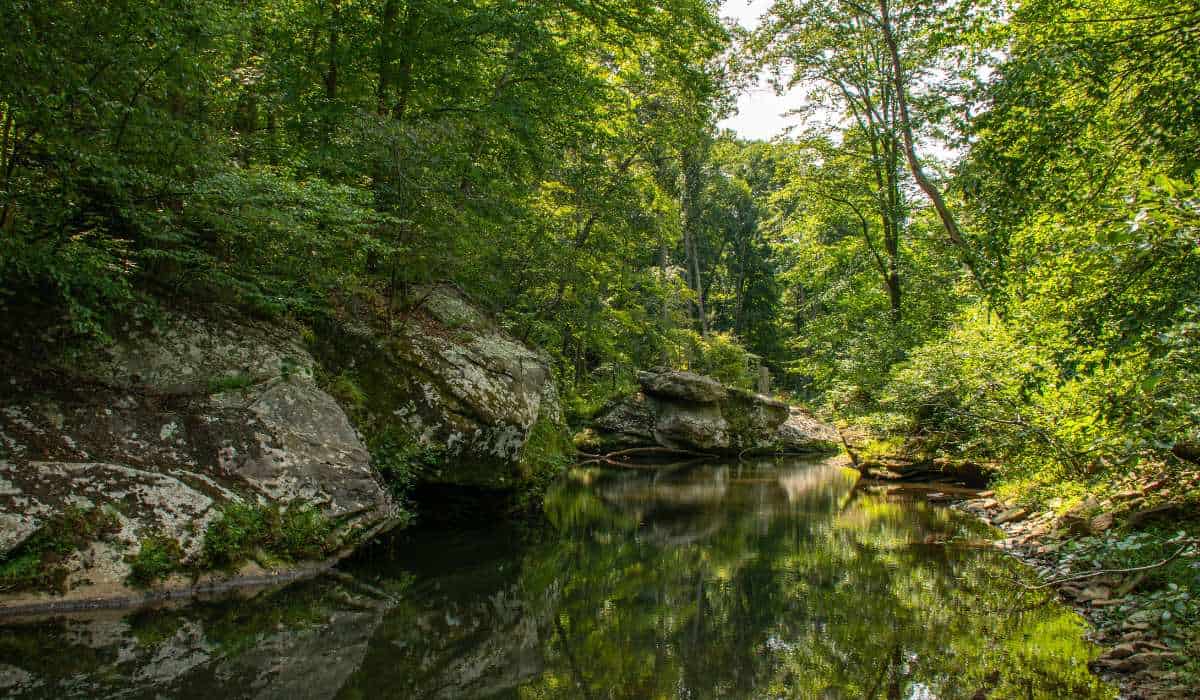 Best Hikes in Shawnee National Forest
