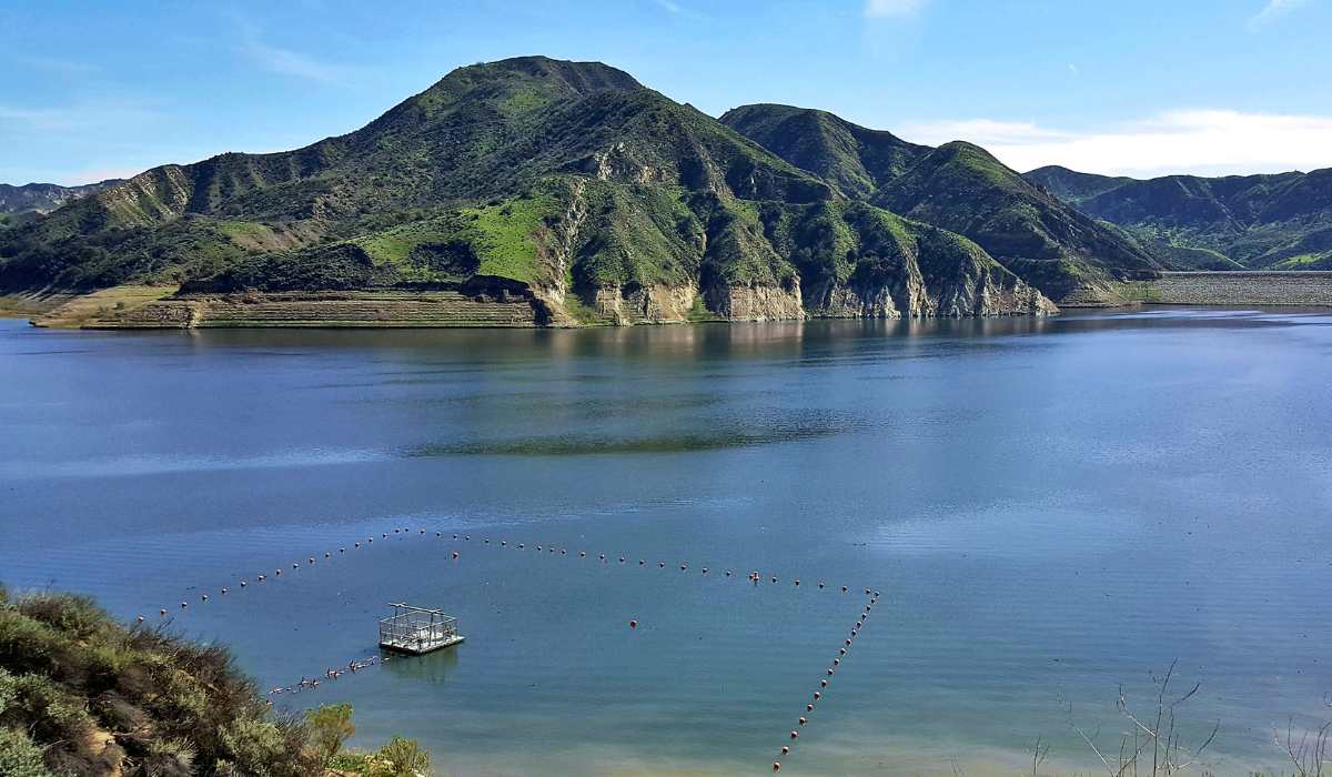 Discover Lake Piru Fishing Top Spots, Tips & Activities