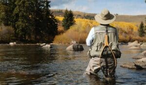 The 7 Best US States for Fly Fishing