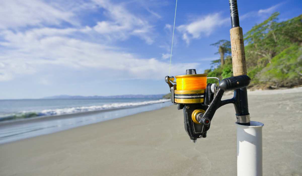The Best Tides for Surf Fishing - Catch More Fish
