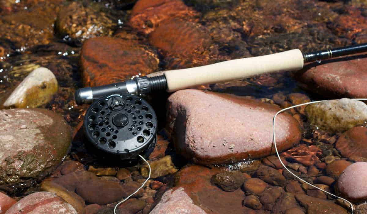 The Best Trout Fishing Rods