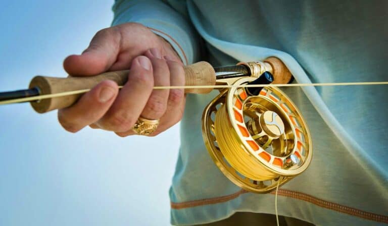 Types of Fishing Reels – The Complete Guide