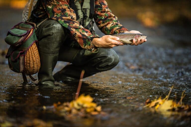 Best Tools For Trout Fishing