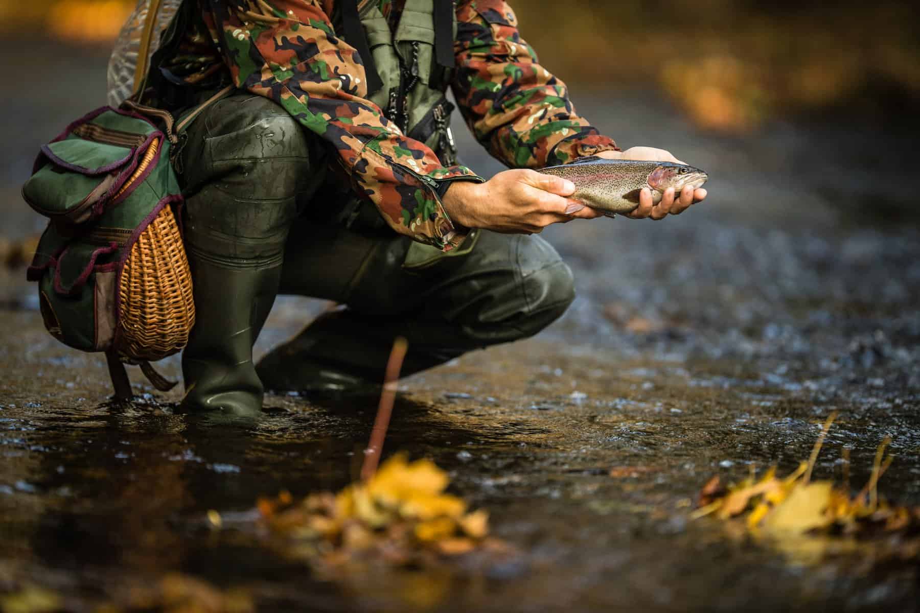 best trout fishing tools