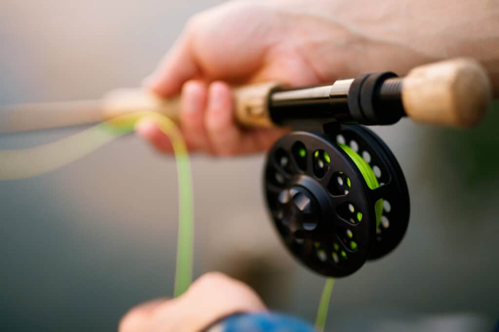 fly fishing tools - best fly lines