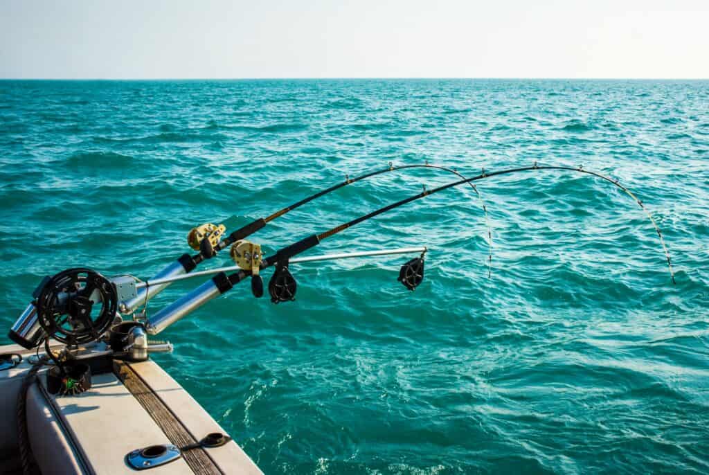 saltwater fishing - 2 poles deep sea fishing