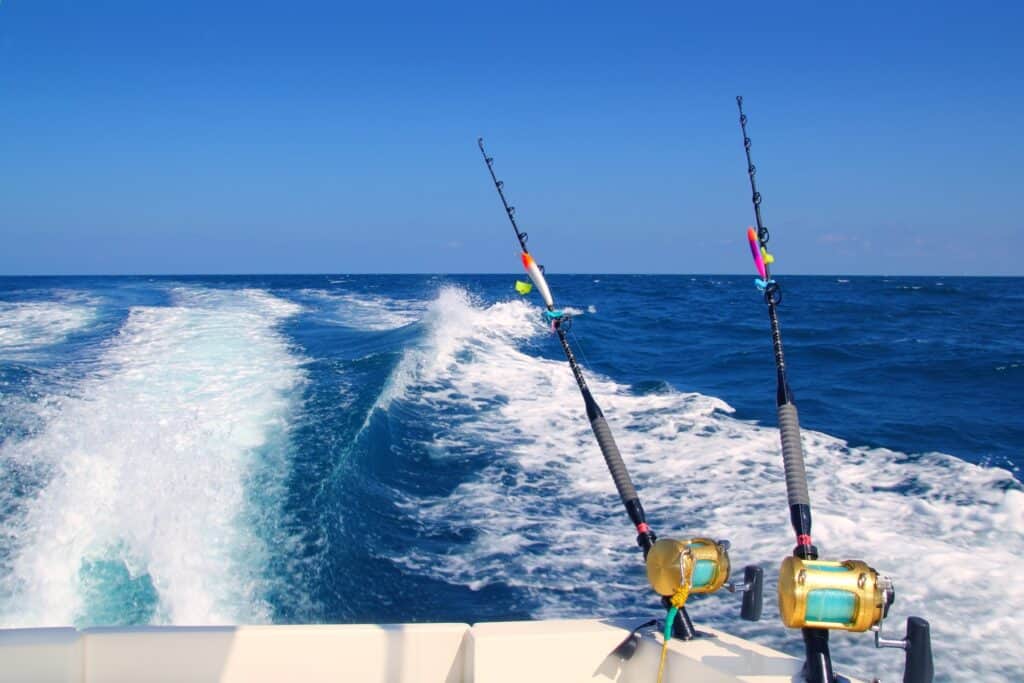 best saltwater fishing gear for every angler