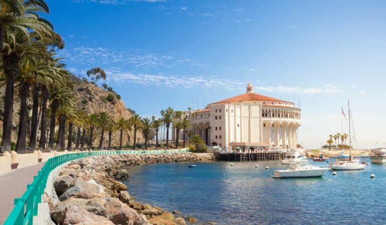 Catalina Island Camping: What You Need to Know
